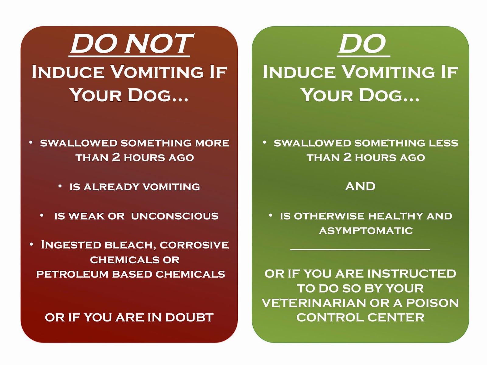 inducing vomiting in dogs inducing vomiting in dogs